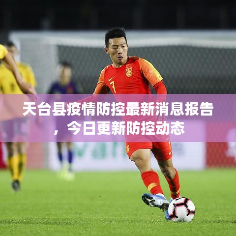 天台县疫情防控最新消息报告,今日更新防控动态