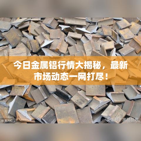 今日金属铝行情大揭秘,最新市场动态一网打尽!