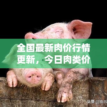 全国最新肉价行情更新,今日肉类价格一览