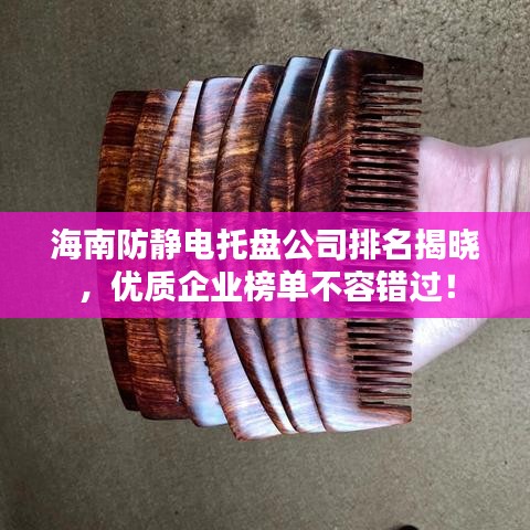 海南防静电托盘公司排名揭晓,优质企业榜单不容错过!