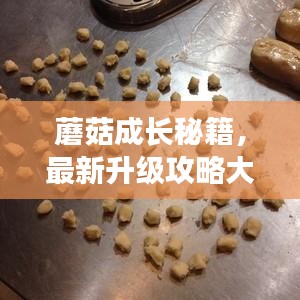蘑菇成长秘籍,最新升级攻略大全!