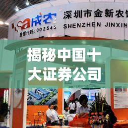 揭秘中国十大证券公司评级排名榜单!最新排名大解密!