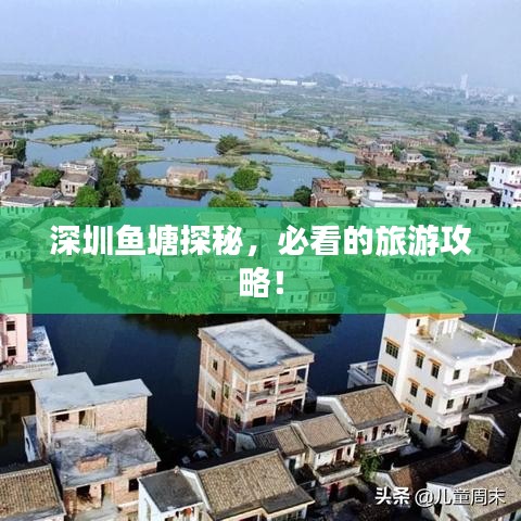 深圳鱼塘探秘，必看的旅游攻略！