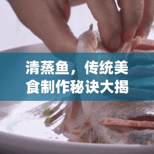 清蒸鱼,传统美食制作秘诀大揭秘