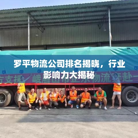 罗平物流公司排名揭晓,行业影响力大揭秘