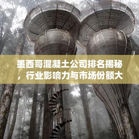 墨西哥混凝土公司排名揭秘,行业影响力与市场份额大盘点