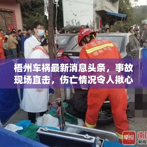 梧州车祸最新消息头条,事故现场直击,伤亡情况令人揪心