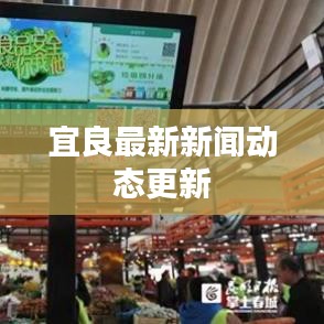 宜良最新新闻动态更新