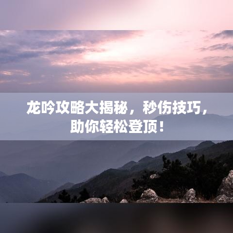 龙吟攻略大揭秘,秒伤技巧,助你轻松登顶!