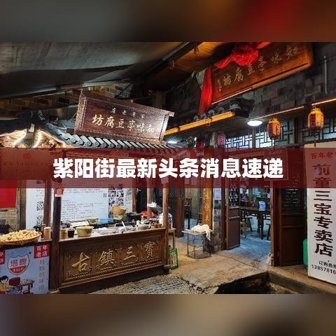 紫阳街最新头条消息速递