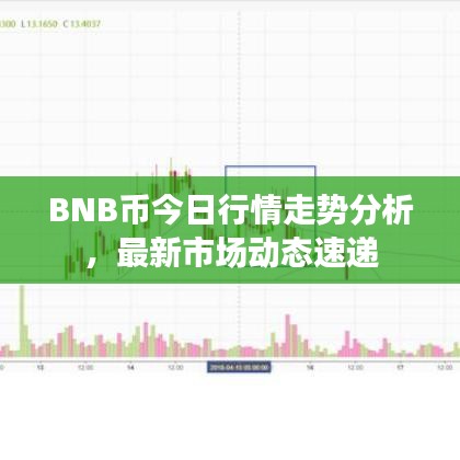 BNB币今日行情走势分析,最新市场动态速递