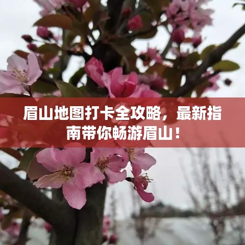 走马观花 第4页