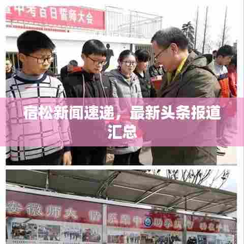 宿松新闻速递,最新头条报道汇总