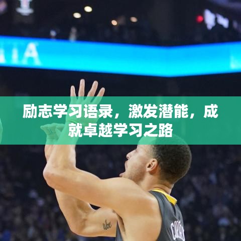 励志学习语录,激发潜能,成就卓越学习之路