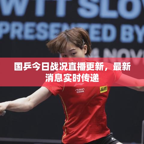 国乒今日战况直播更新,最新消息实时传递