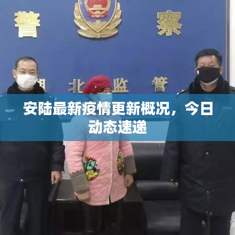 安陆最新疫情更新概况,今日动态速递