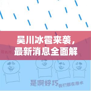 吴川冰雹来袭,最新消息全面解析