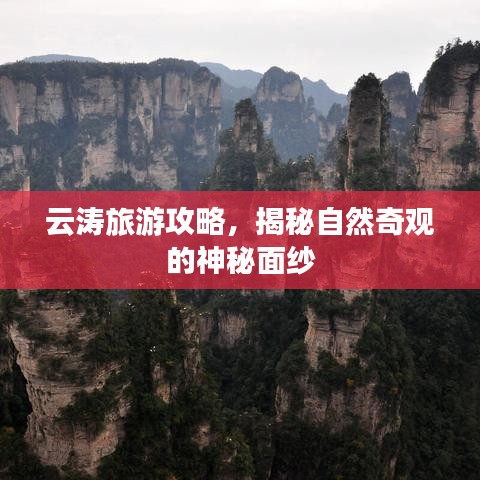 鸿飞雪爪 第4页