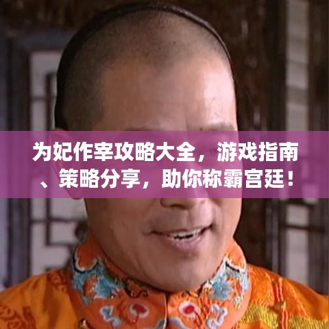 为妃作宰攻略大全,游戏指南、策略分享,助你称霸宫廷!