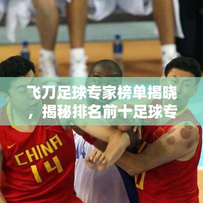 飞刀足球专家榜单揭晓，揭秘排名前十足球专家风采！