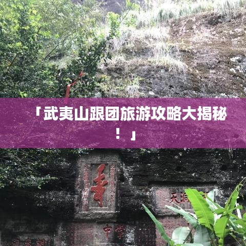 「武夷山跟团旅游攻略大揭秘！」