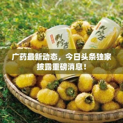 广药最新动态,今日头条独家披露重磅消息!