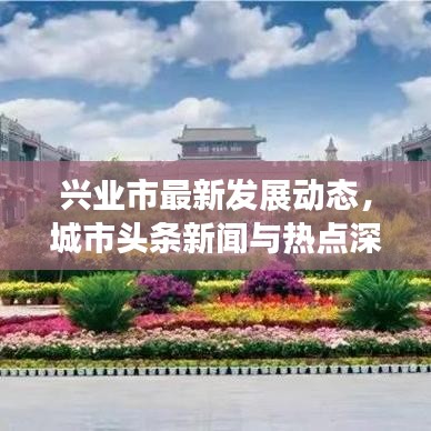 兴业市最新发展动态,城市头条新闻与热点深度解析