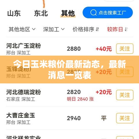 今日玉米粮价最新动态,最新消息一览表