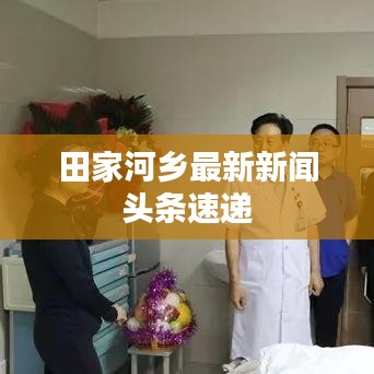 田家河乡最新新闻头条速递