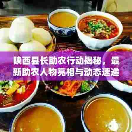 陕西县长助农行动揭秘,最新助农人物亮相与动态速递