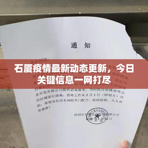 石厦疫情最新动态更新,今日关键信息一网打尽