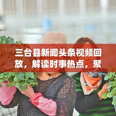 三台县新闻头条视频回放,解读时事热点,聚焦民生发展动态