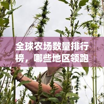 全球农场数量排行榜,哪些地区领跑农业产业?
