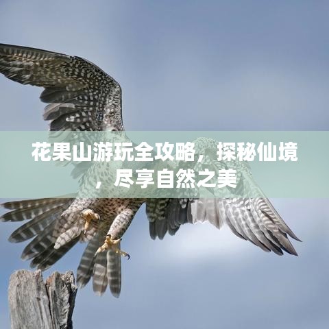 花果山游玩全攻略,探秘仙境,尽享自然之美