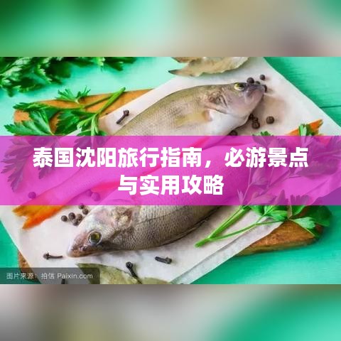 泰国沈阳旅行指南,必游景点与实用攻略