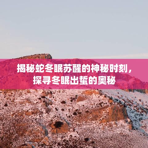 揭秘蛇冬眠苏醒的神秘时刻，探寻冬眠出蜇的奥秘