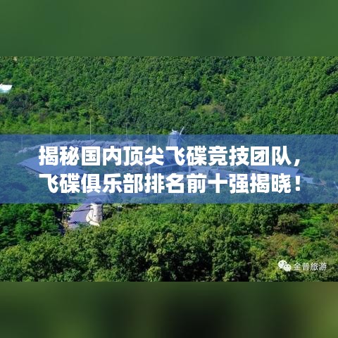 揭秘国内顶尖飞碟竞技团队,飞碟俱乐部排名前十强揭晓!