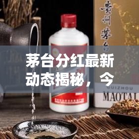 茅台分红最新动态揭秘，今日消息一览，惊喜回报揭晓！