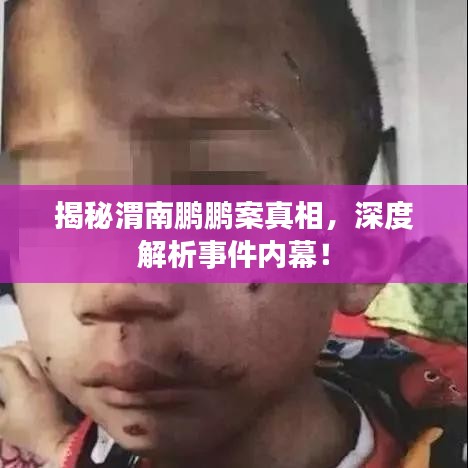 揭秘渭南鹏鹏案真相，深度解析事件内幕！