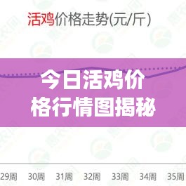 今日活鸡价格行情图揭秘,市场走势分析与预测报告