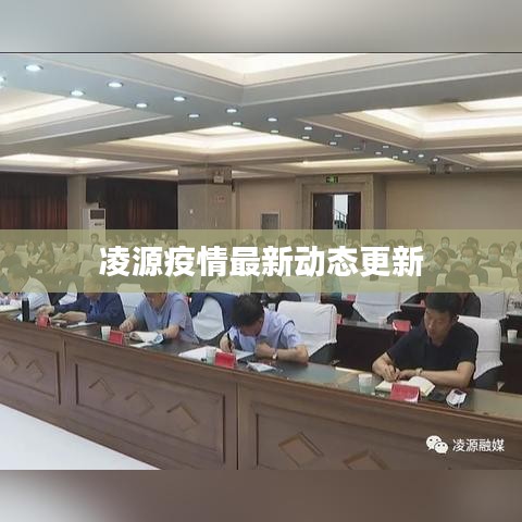 凌源疫情最新动态更新