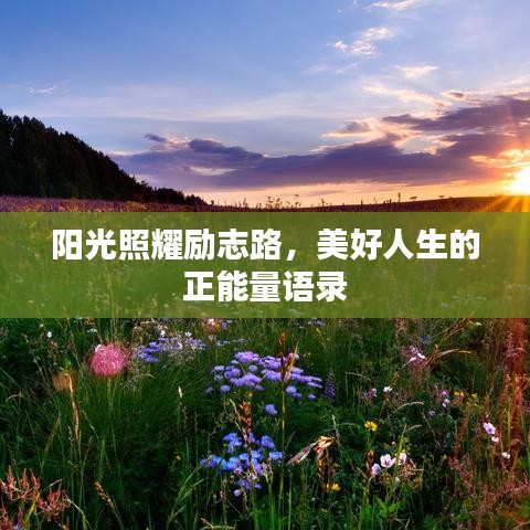 阳光照耀励志路,美好人生的正能量语录