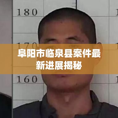 阜阳市临泉县案件最新进展揭秘