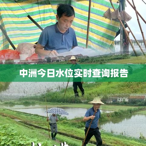 中洲今日水位实时查询报告