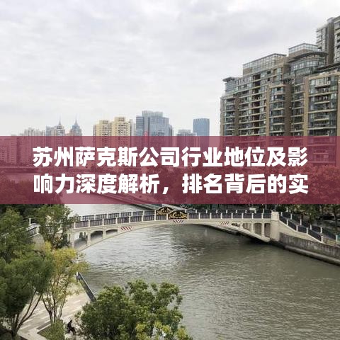 苏州萨克斯公司行业地位及影响力深度解析,排名背后的实力与成就