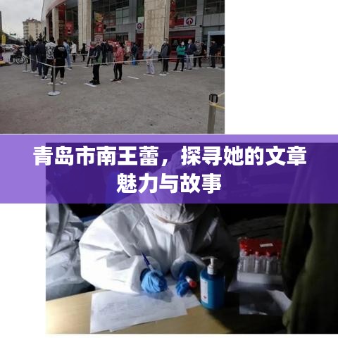 青岛市南王蕾,探寻她的文章魅力与故事