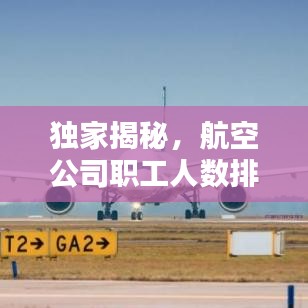 独家揭秘,航空公司职工人数排名榜单!