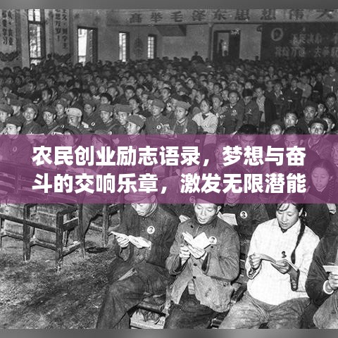 农民创业励志语录,梦想与奋斗的交响乐章,激发无限潜能!