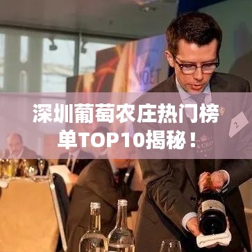 深圳葡萄农庄热门榜单TOP10揭秘!