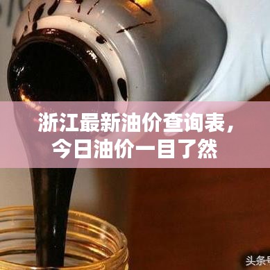 浙江最新油价查询表,今日油价一目了然